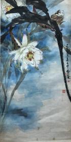 侯中曦，78×39