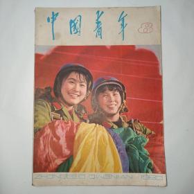 中国青年 1980年第8期（封面空降女兵，什么是科学的革命人生观，怎样认识和对待我们的现实社会，他有了真正的金色衣裳，无影灯下的启示，知识更新与在职学习，情愿把自己的命运投入风暴，我将扼住命运的咽喉，我爱你中国-歌曲）