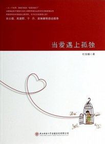 【正版新书】当爱遇上孤独肖云儒、高建群、于丹、龚琳娜等感动推荐