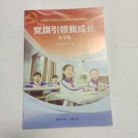 党旗引领我成长 小学版
