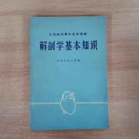 解刨学基本知识