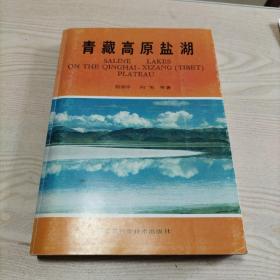 青藏高原盐湖（书九品，没有版权页了，书内干净无勾划）