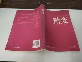 中国职场最温暖的小说：精变