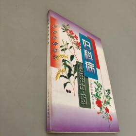 妇科病妙用中药