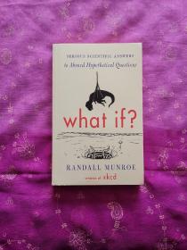 What If? (International edition)  Serious Scient 那些古怪又让人忧心的问题 英文原版