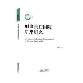 刑事责任附随后果研究 法学理论 孙燕山 新华正版