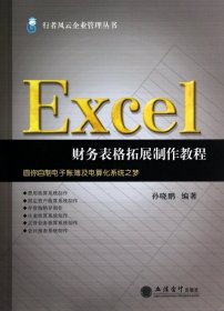 Excel财务表格拓展制作教程/行者风云企业管理丛书 9787542941466 孙晓鹏 立信会计