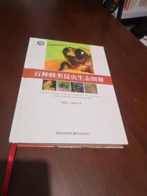 百种蜂类昆虫生态图册
（正版书无笔记）鉴名版