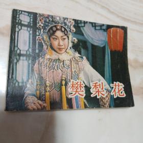 电影连环画《樊梨花》中国电影出版社1984年1月1版1印