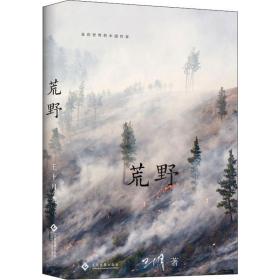 荒野 中国现当代文学 王十月 新华正版