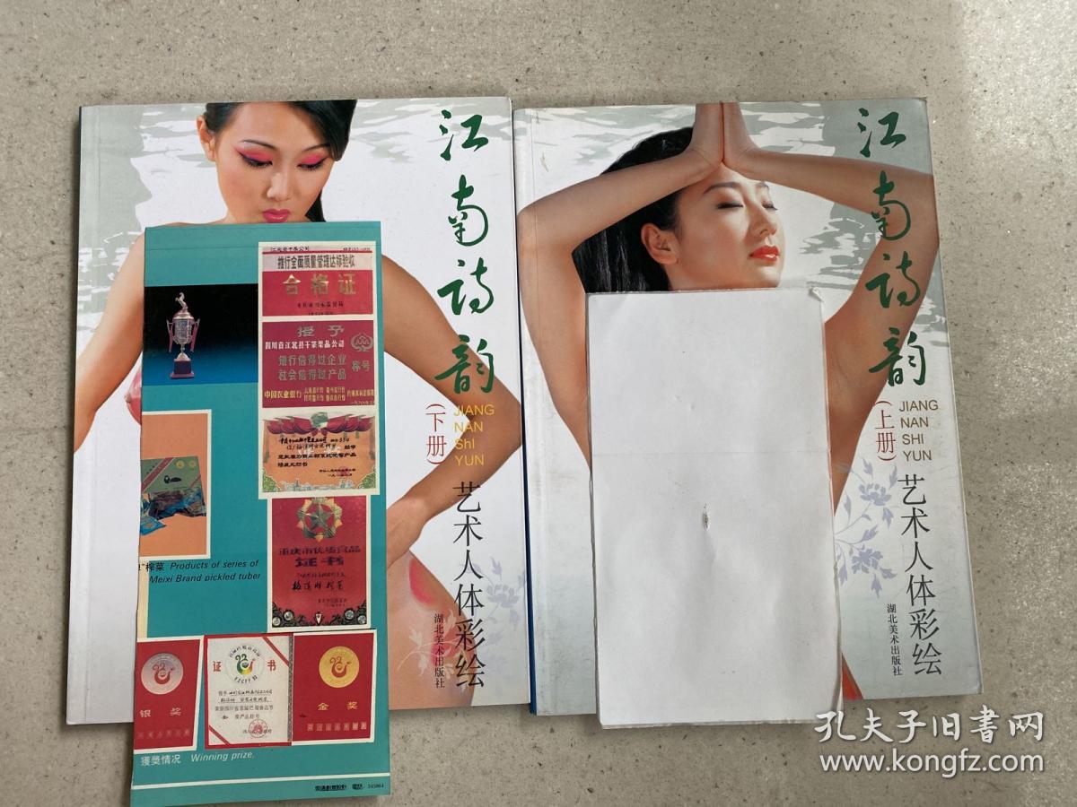 江南诗韵艺术人体彩绘上下全两册