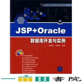 VIPJSP+Oracle数据库开发与实例1+1数据库混合开发技术丛书张晓东高鉴伟清华大学9787302176817