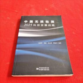中国无损检测2025科技发展战略【内页干净】