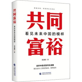 新华正版 共同富裕 看见未来中国的模样 王立胜 9787522312002 中国财政经济出版社