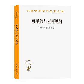 可见的与不可见的/汉译世界学术名著丛书