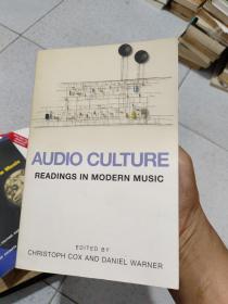 Audio Culture：Readings in Modern Music