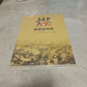 煤的综合利用