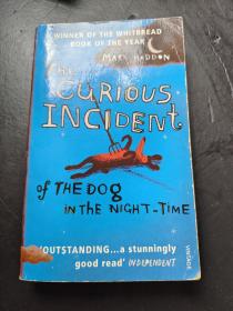 The cuRIOUS INCIDENT of THE DOg in The NICGH T-Time