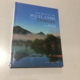 大美湖北湿地