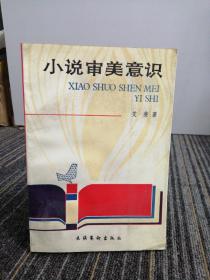 小说审美意识
