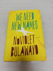 We Need New Names：A Novel 毛边本