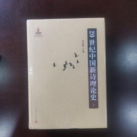 20世纪中国新诗理论史