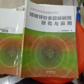 云南省财政支出建设项目：绩效评价多目标树图研究与应用