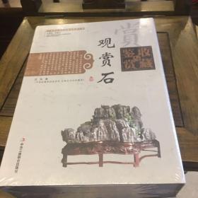 中国艺术品收藏鉴赏实用大典：观赏石收藏与鉴赏（上卷、下卷）  （全二册）