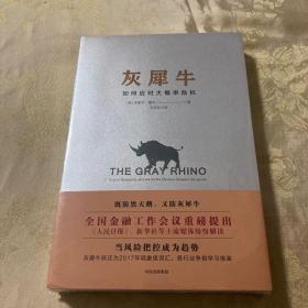 灰犀牛：如何应对大概率危机