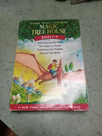 神奇树屋英文原版绘本Magic Tree House1-4册