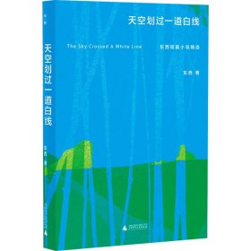 天空划过一道白线 东西短篇小说精选 作家作品集 东西 新华正版