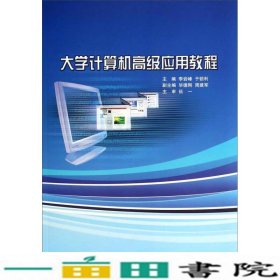 大学计算机高级应用教程李岩峰于锁利黑龙江大学出9787811294026