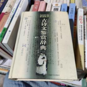 库房实拍 学生古诗文鉴赏辞典（上下）