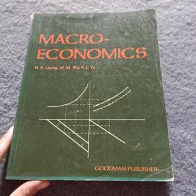 MACRO-ECONOMICS 英文原版书 书内有笔记划线 不影响阅读