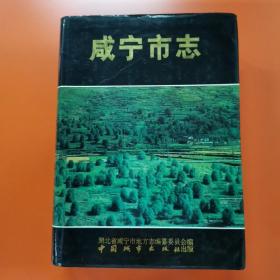 咸宁市志