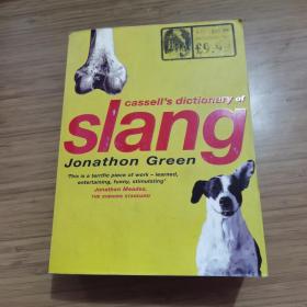 Cassell's Dictionary Of Slang 少量水印