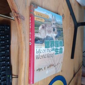 中國西藏文化之旅：世界屋脊上的生命