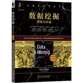 数据挖掘(原理与实践进阶篇)/计算机科学丛书