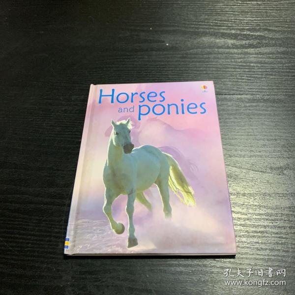 Beginners Horses and Ponies