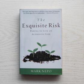 The Exquisite Risk:Daring To Live An Authentic Life 精致的风险：敢于过真实生活（英文原版）