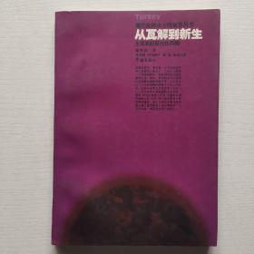 从瓦解到新生：土耳其的现代化历程