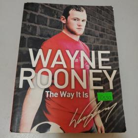 WayneRooney:TheWayItIs