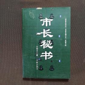 市长秘书：又名《心灵庄园》