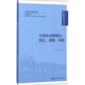 中国扶贫精细化 经济理论、法规 王三秀  新华正版