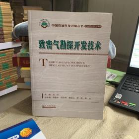 致密氣勘探開發技術