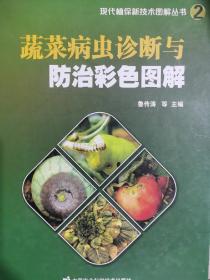 蔬菜病虫诊断与防治彩色图解(精)/现代植保新技术图解丛书