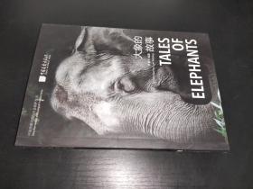 大象的故事（中国珍稀动物与生态保护丛书）