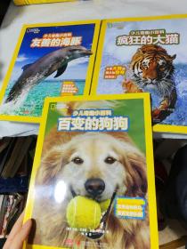 少儿奇趣小百科：友善的海豚，百变的狗狗，疯狂的大猫（3本合售）