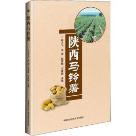 陕西马铃薯 种植业 陈占飞、常勇、任亚梅、刘康懿 新华正版