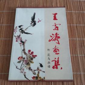 王雪涛画集（附花鸟画谱）